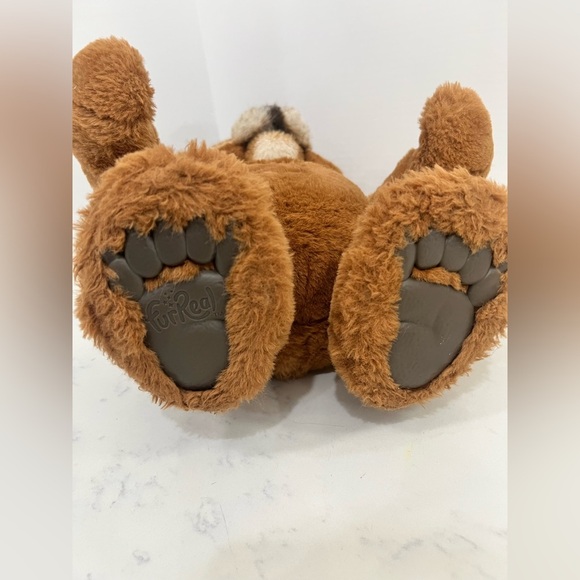Cuddly Brown Bear Plush Toy - Picture 6 of 17
